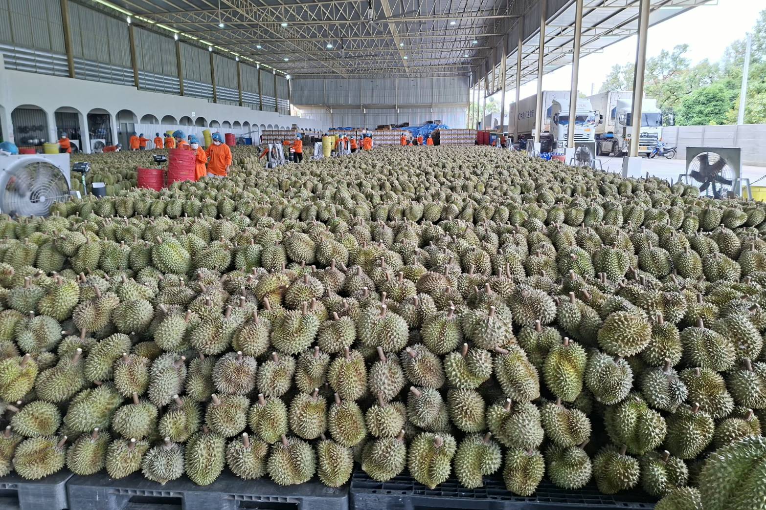 title - ส.ป.ก. ร่วมติดตามรัฐมนตรีช่วยว่าการกระทรวงเกษตรและสหกรณ์ (นางสาวปิยะรัฐชย์ ติยะไพรัช) ลงพื้นที่ตรวจราชการในพื้นที่จังหวัดจันทบุรี